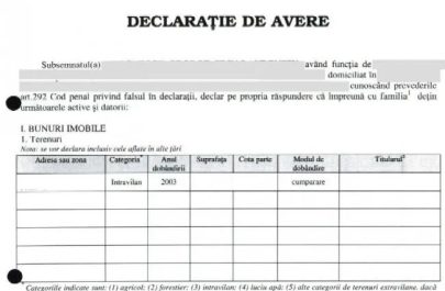 CCR a decis: toți cei interesați pot să-și ascundă averile de public, trecându-le doar pe copii și soți. Ce vor conține declarațiile de avere