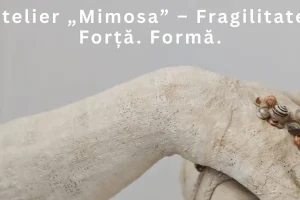 Mimosa - un atelier-experiență care transformă atingerea în artă, cu Grupul Fak.Artă, la Galeria After 5