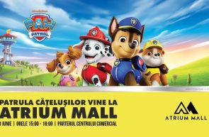 Paw Patrol Atrium Mall