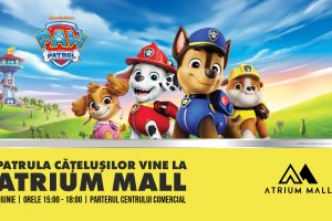 Paw Patrol Atrium Mall