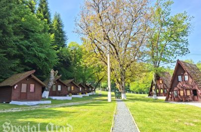 Tabăra Căsoaia (6)