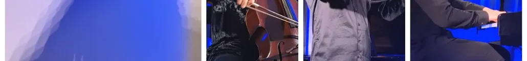 Vibration Classical - Casa Pianului Jacques Faix Arad - Valentin Șerban, Mihai Diaconescu, Octavian Lup