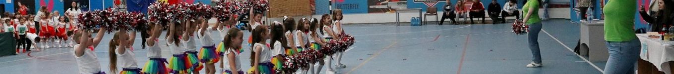 BUCURIE SI MISCARE ARAD
