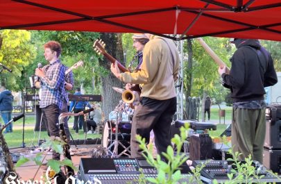 World Music Festival - prima seara (14)