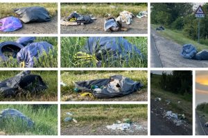 Zeci de saci menajeri aruncați pe marginea drumului între Pâncota și Sântana