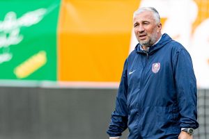 dan petrescu