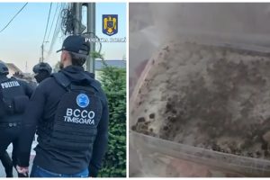 droguri trafic