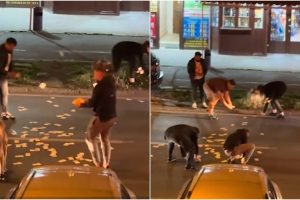 euro Timișoara