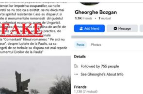 fake news paulis