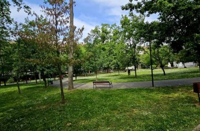 parc cu copac