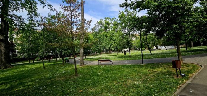 parc cu copac