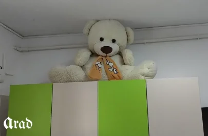 românii alegeri vot 3