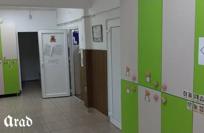 românii alegeri vot