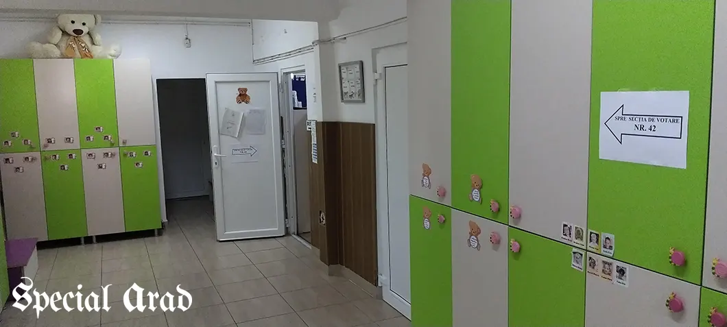 românii alegeri vot