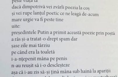 stiri 28 poezie Mugur Grosu d ela Oana Paler
