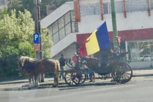 trăsură alegeri