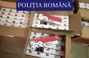 PARCHETUL BAXURI TIGARI