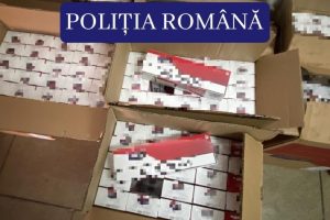 PARCHETUL BAXURI TIGARI