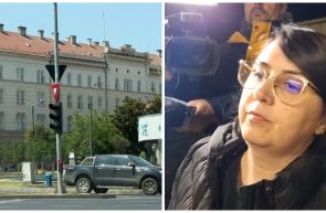 Laura Dronca Bîlcea
