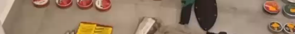 armelor perchezitii