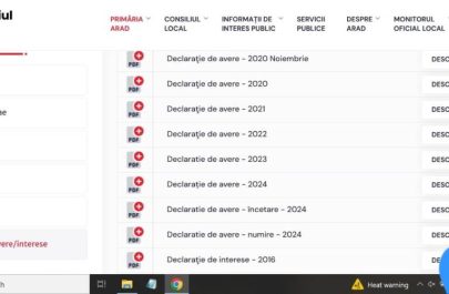 bibart declaratii de avere 3