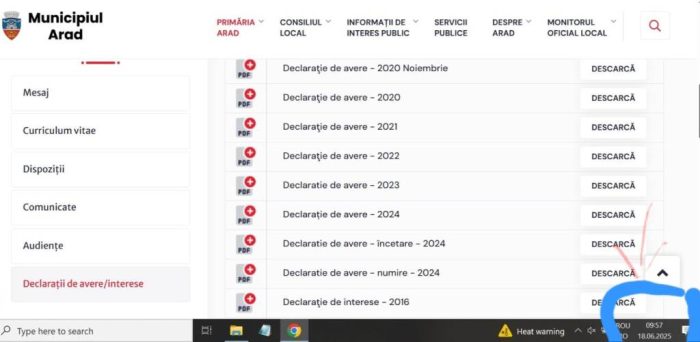 bibart declaratii de avere 3