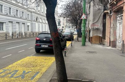copac avram iancu cititor