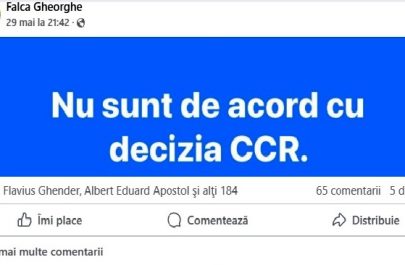 declaratie de avere Falca