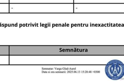 declaratie de avere grad varga