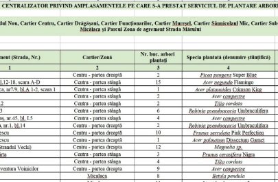 plantari copaci 1