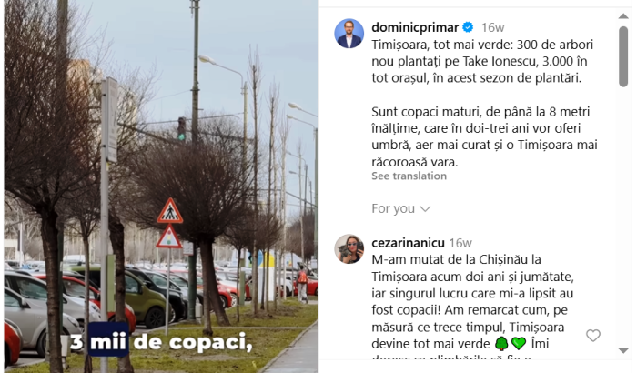plantari copaci 11