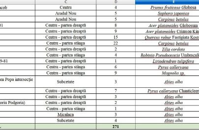 plantari copaci 3