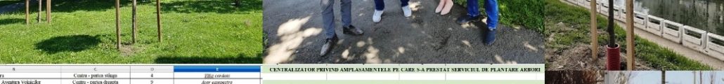 arbori plantaţi