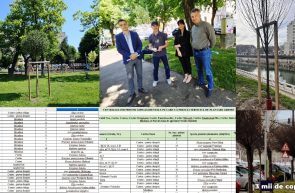arbori plantaţi