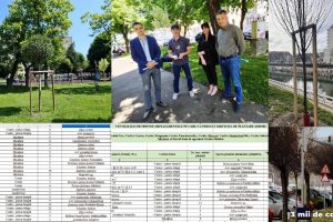 arbori plantaţi
