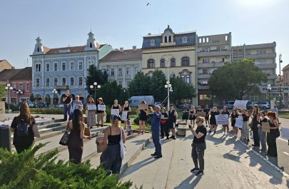 protest arădeni violența domestică (11)