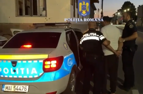 șofer permis