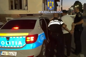șofer permis