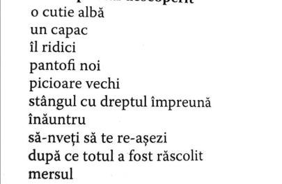 stiri ratate 30 poezia