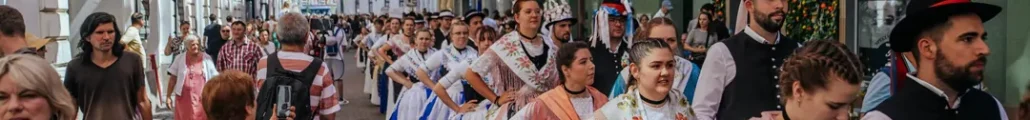 șvabi Timi