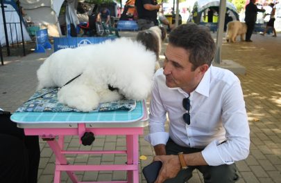 Doi cățeluși