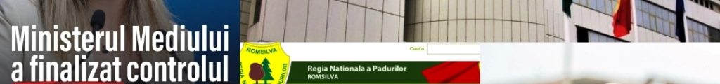 Direcția Silvică Arad