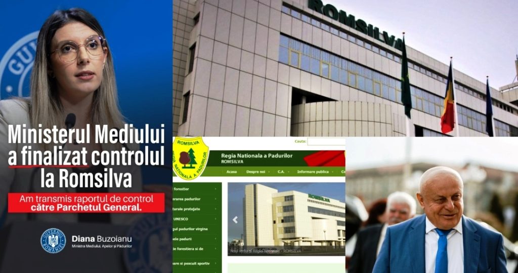 Direcția Silvică Arad sub lupa Curții de Conturi și a Corpului de Control al Ministrului Mediului