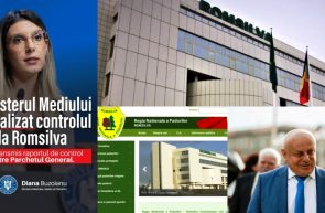 Direcția Silvică Arad