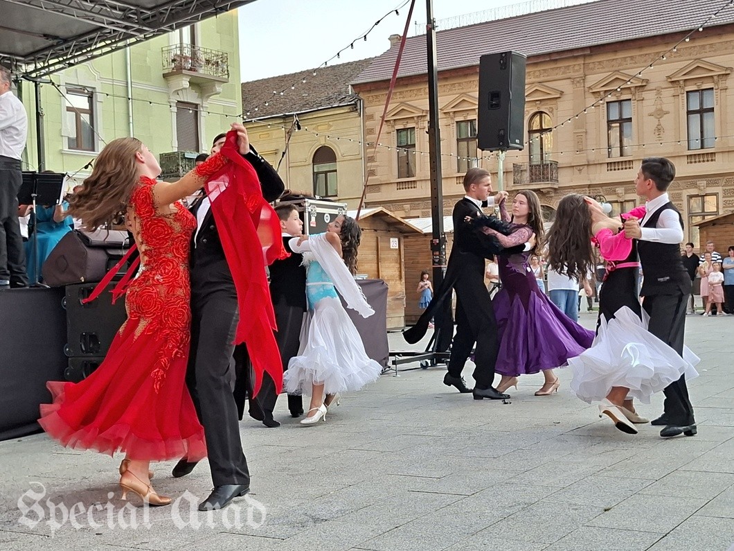 Gala Strauss 200 Piața Catedralei Arad (17)
