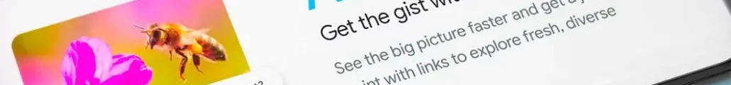 Google AI Overviews
