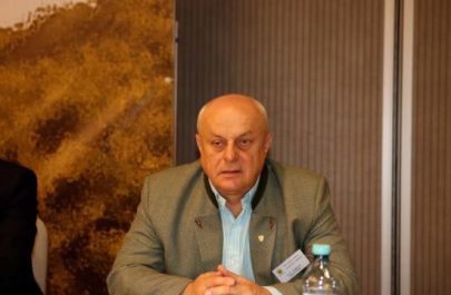 Romsilva Arad Teo Țigan corpul de control la verificat