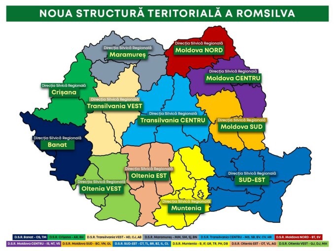 Reducere la 12 a direcțiilor silvice. Corpul de control investighează bonusul de 100.000 euro la Arad (Vezi harta)