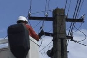 BARBAT ELECTROCUTAT