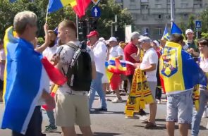 Protest tensionat în Piața Victoriei - patru jandarmi agresați
